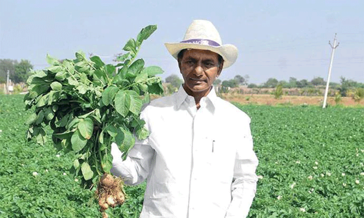 కౌలు రైతుకు రైతుబంధు సాధ్యం కాదు: కేసీఆర్