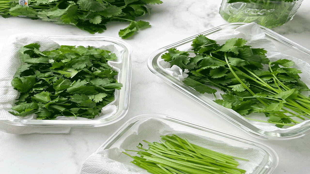 గాలి చొరబడని కంటైనర్‌లో కొత్తిమీరను నిల్వ చేసుకోవటం వల్ల ఎక్కువ రోజులు నిల్వ ఉంటుంది. ఇందుకోసం ముందుగా కొత్తిమీరను బాగా శుభ్రం చేసుకోవాలి. కడిగి ఆరిన తర్వాత టిష్యూ పేపర్‌పై ఉంచండి.  ఆ తర్వాత గాలి చొరబడని కంటైనర్‌లో ఉంచండి.  కొత్తిమీరను టిష్యూ పేపర్‌పై వేసి కంటైనర్‌లో నిల్వ చేసుకున్నా కూడా కొత్తిమీర ఎక్కువ కాలం తాజాగా ఉంటుంది.