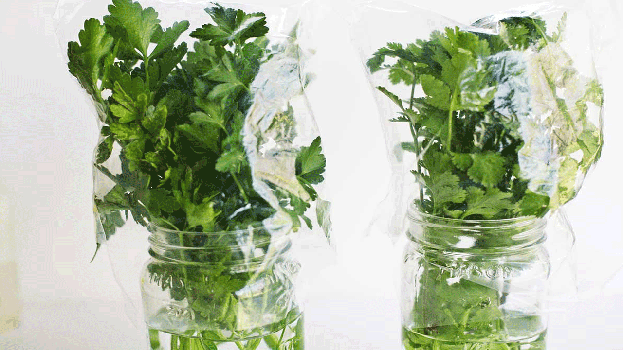 కొత్తిమీర ఆకులను నీళ్లలో పెట్టి నిల్వ ఉంచుకోవడానికి ముందుగా ఒక పాత్రలో సగం వరకు నీటిని తీసుకోండి. అప్పుడు కొత్తిమీరను ఆ నీటిలో పెట్టాలి. ఇలా చేస్తే కొత్తి మీర వేర్లు నీటిలో మునిగి ఉంటాయి.  ఇలా చేయడం వల్ల కొత్తిమీర ఒక వారం పాటు తాజాగా ఉంటుంది.
