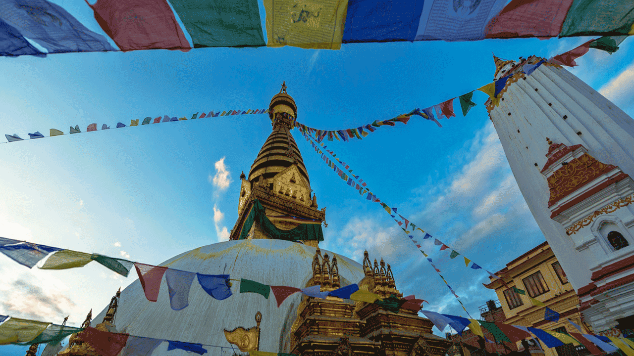 ఛార్జీల వివరాలు: ఈ ప్యాకేజీని బుక్ చేసుకోవడానికి మీరు ఒంటరిగా ప్రయాణించాలనుకుంటే.. రూ.50,500, ఇద్దరు వ్యక్తులకు రూ.42,500 ముగ్గురికి రూ.42,100 తగ్గింపుతో లభిస్తుంది.