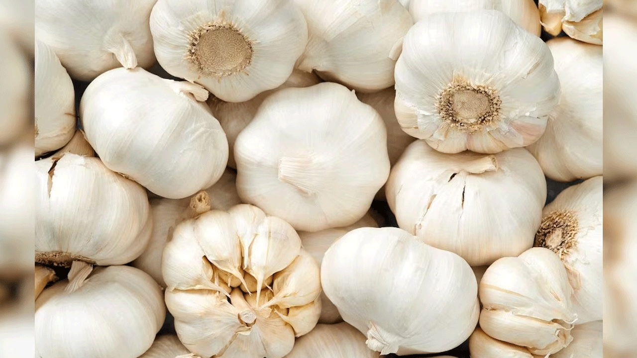 Garlic: వెల్లుల్లికి భారీగా పెరిగిన డిమాండ్.. సామాన్యులకు చుక్కలు.. అసలు కారణం మాత్రం వేరే