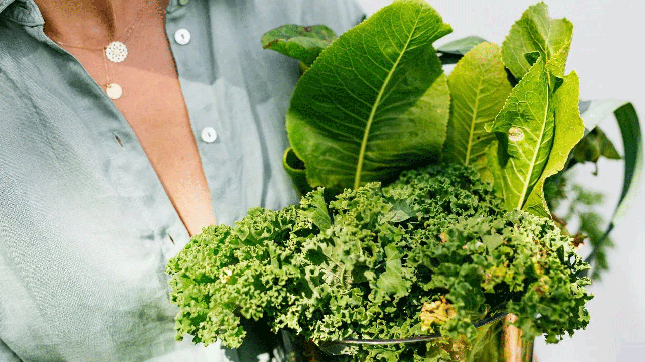 Health Tips: పాలకూర, మెంతి కూర.. ఆరోగ్యానికి ఏది బెస్ట్.... దేనిలో ఎక్కువ పోషకాలు ఉంటాయి